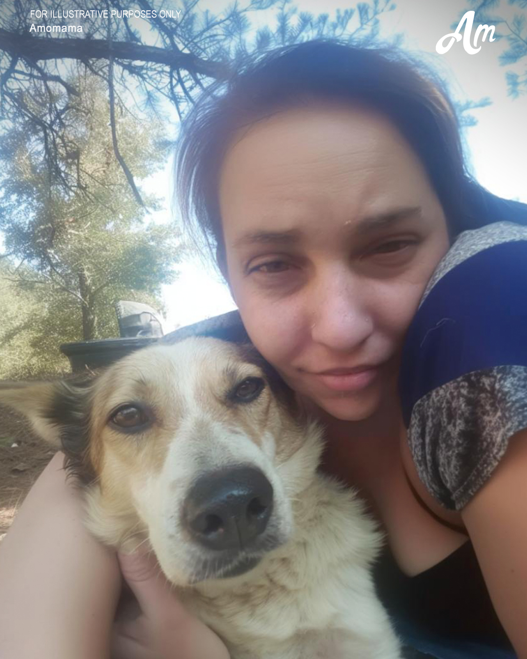 I Rescued a Dog from the Side of the Road and Kept Her — A Month Later, I Was Shocked by Where She Led Me